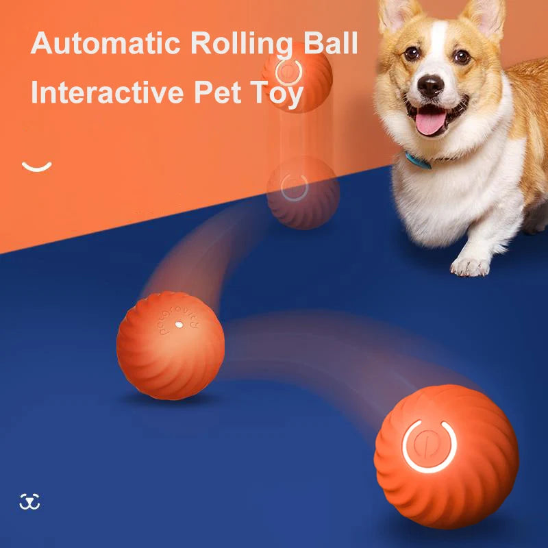 USB Rechargeable Interactive Plastic Dog Toys Electronic Irregular Motion Vibration Ball Fashionable Pet Movement Cat Toys